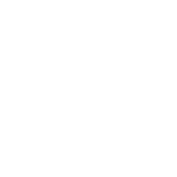 Cleaning icon