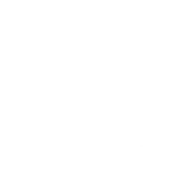 Cleaning icon