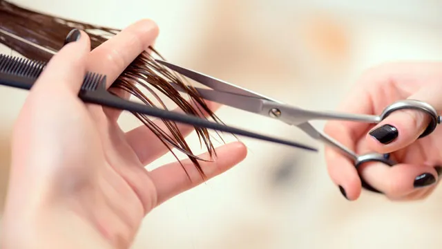 Hair Salon Olia Cleaning Services