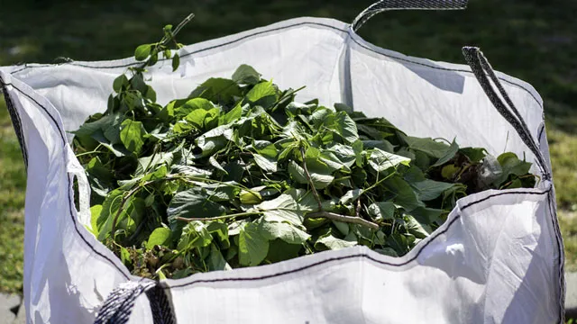 Gardening Services Olia Cleaning Services